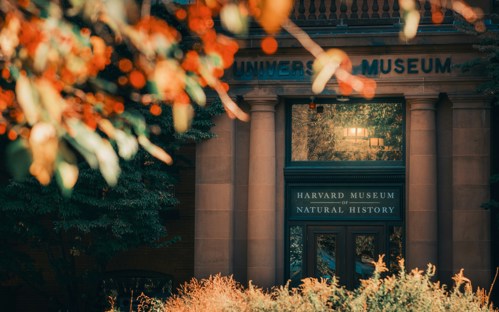 Harvard Museum of Natural History near Harvard Square Hotel